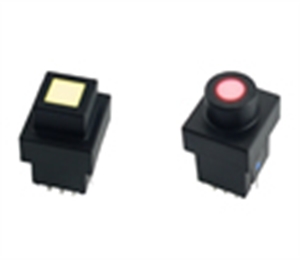 LED Pushbutton Switch WB PS018L Series