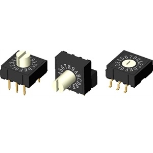 Picture of Rotary Switch DIP RH,RV,RM,RS Series